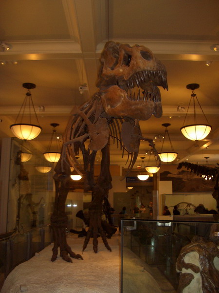 T-Rex